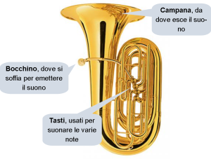 tuba 1