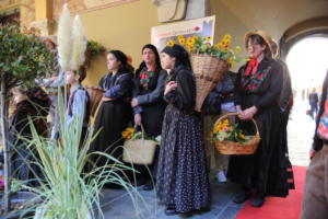 Festa della vendemmia - Bellinzona 