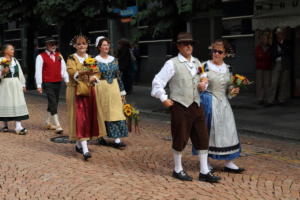 Festa della vendemmia - Bellinzona 